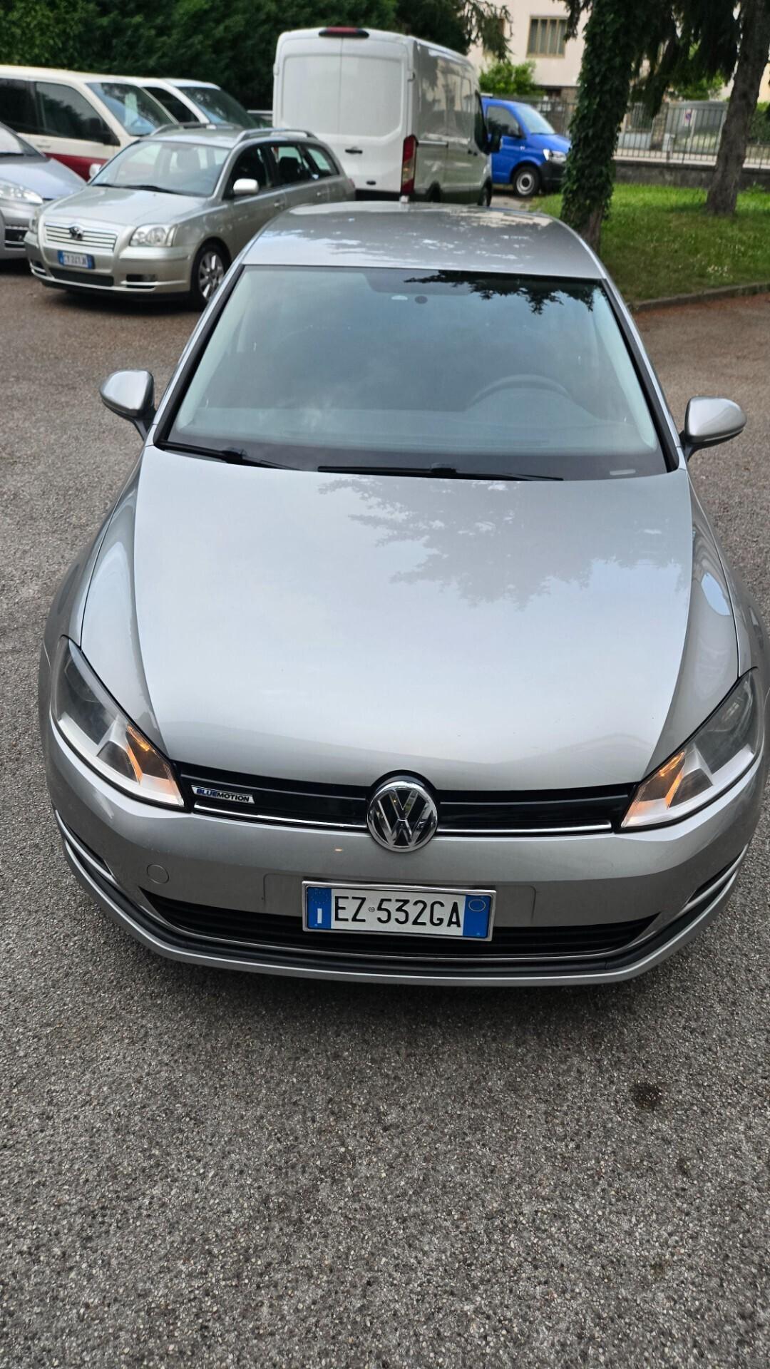 Volkswagen Golf Business 1.4 TGI 5p. BlueMotion ME