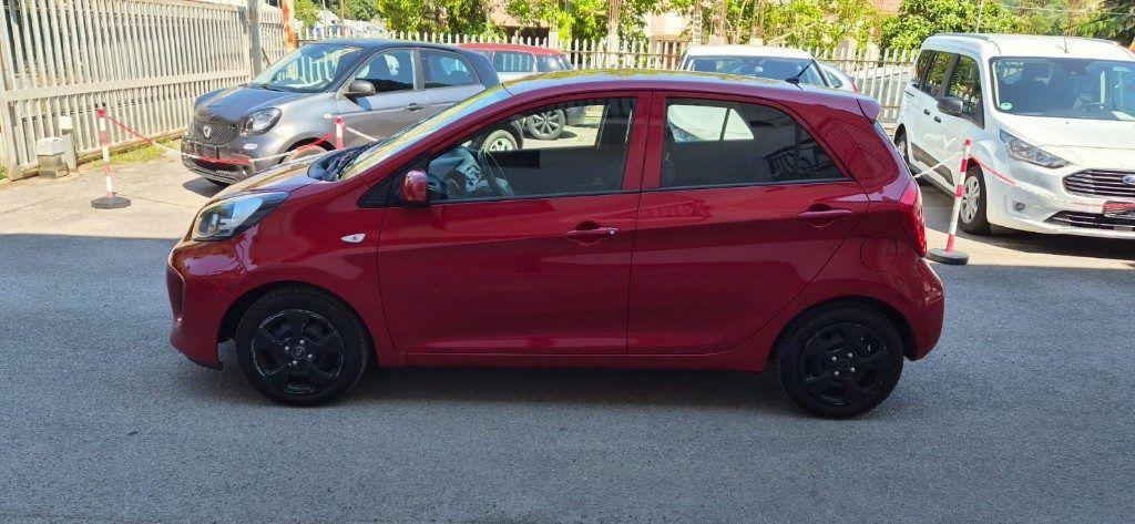 Kia Picanto 1.0 5 porte Active