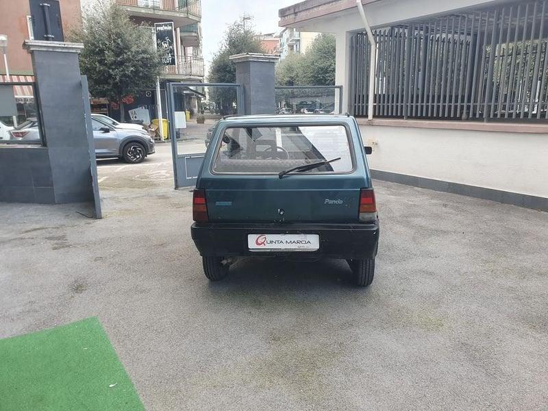 FIAT Panda 900 i.e. cat