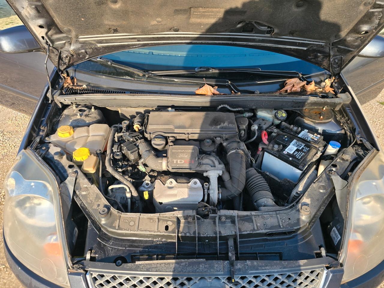 Ford Fiesta 1.4 TDCi 5p. Ghia 50kw