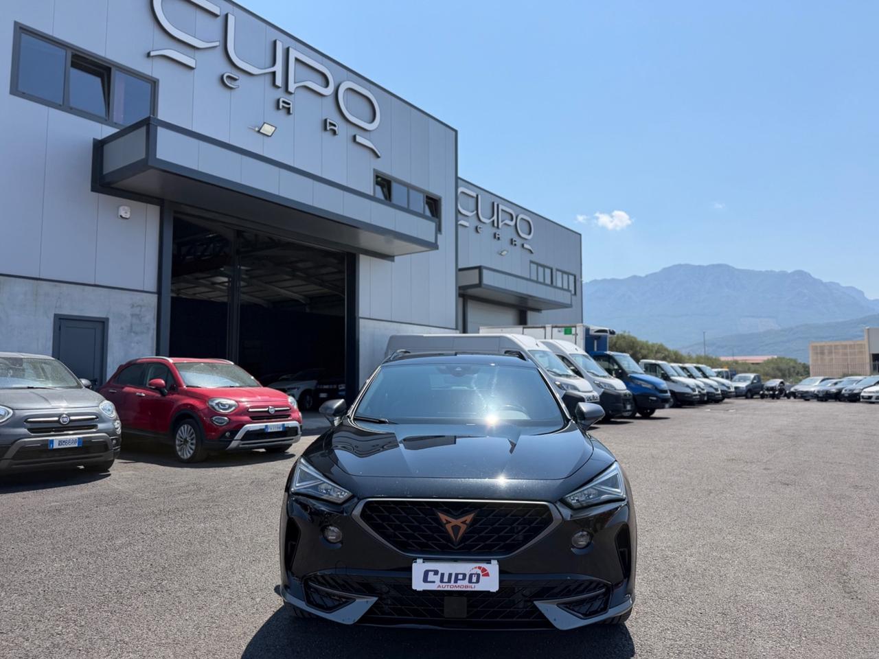Cupra Formentor 2.0 TDI 4Drive DSG