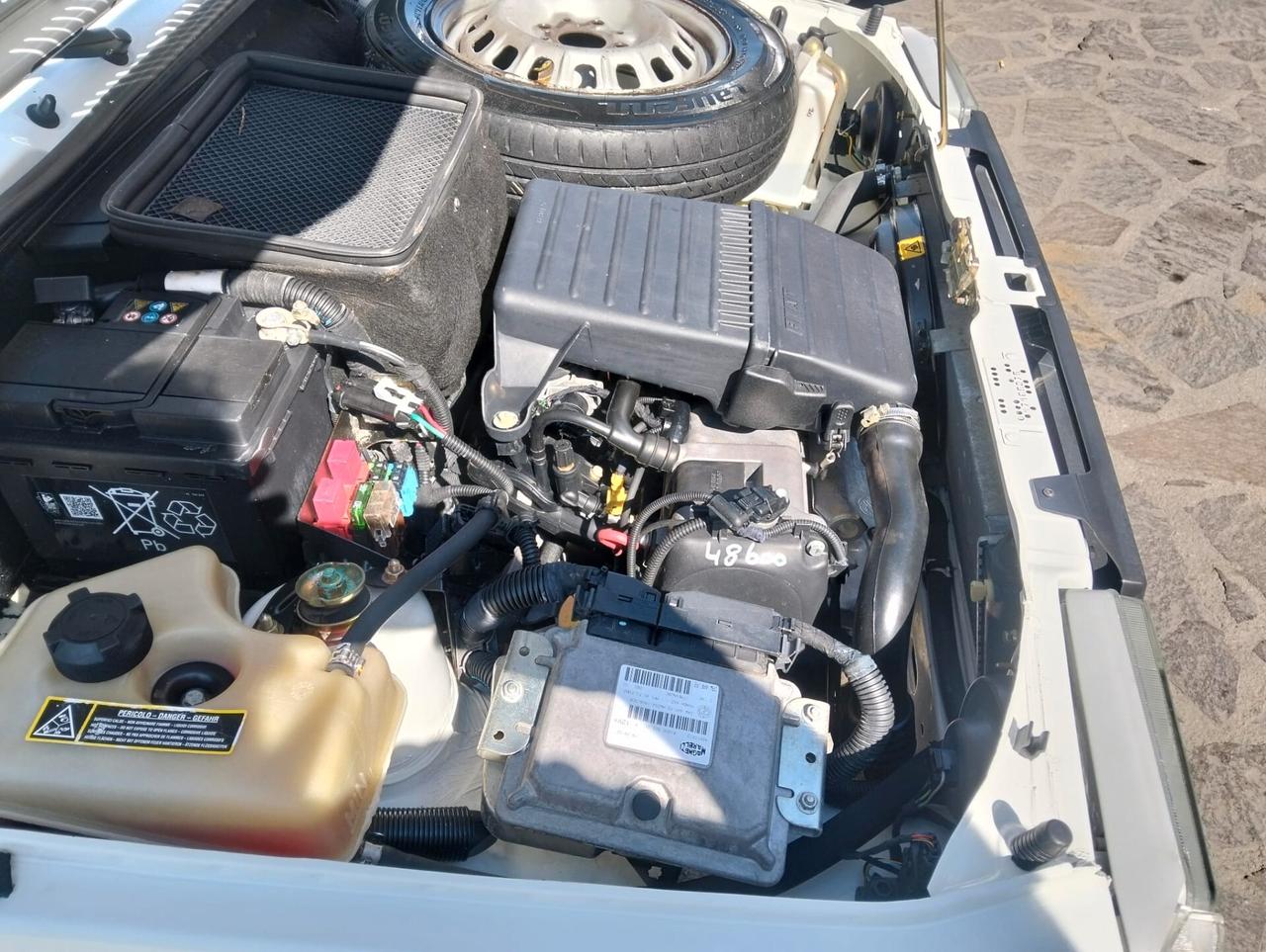 Fiat Panda 1100 i.e. cat Young