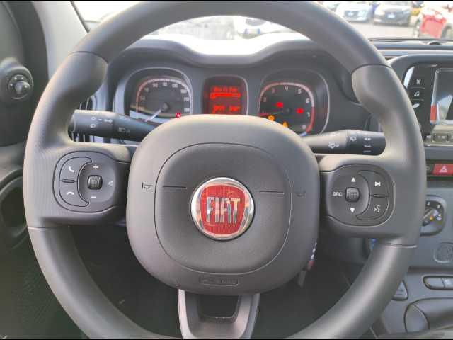 FIAT Panda 1.0 firefly hybrid s&s 70cv