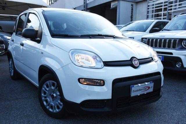 FIAT Panda 1.0 FireFly S&S Hybrid **5 POSTI**