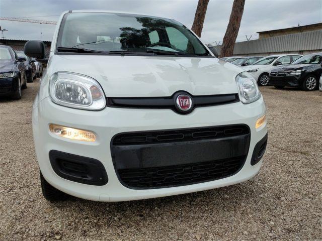 FIAT Panda 1.2 69cv CLIMATIZZATORE OK NEOPATENTATI