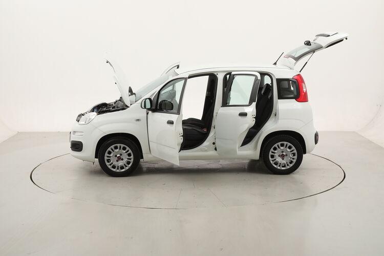 Fiat Panda Easy BR794879 1.2 Benzina 69CV