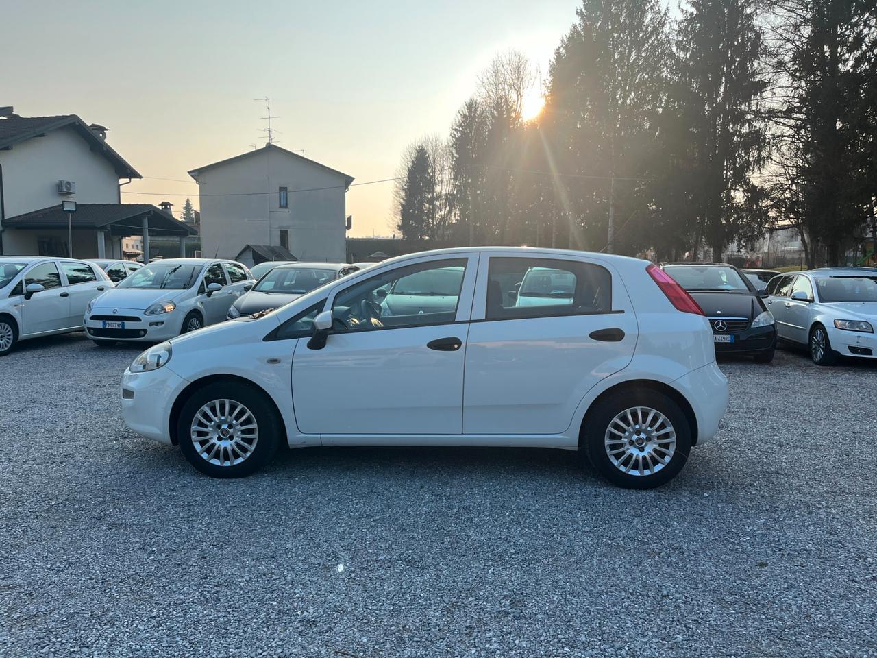 Fiat Punto 1.3 MJT II S&S 95 CV 5 porte Street