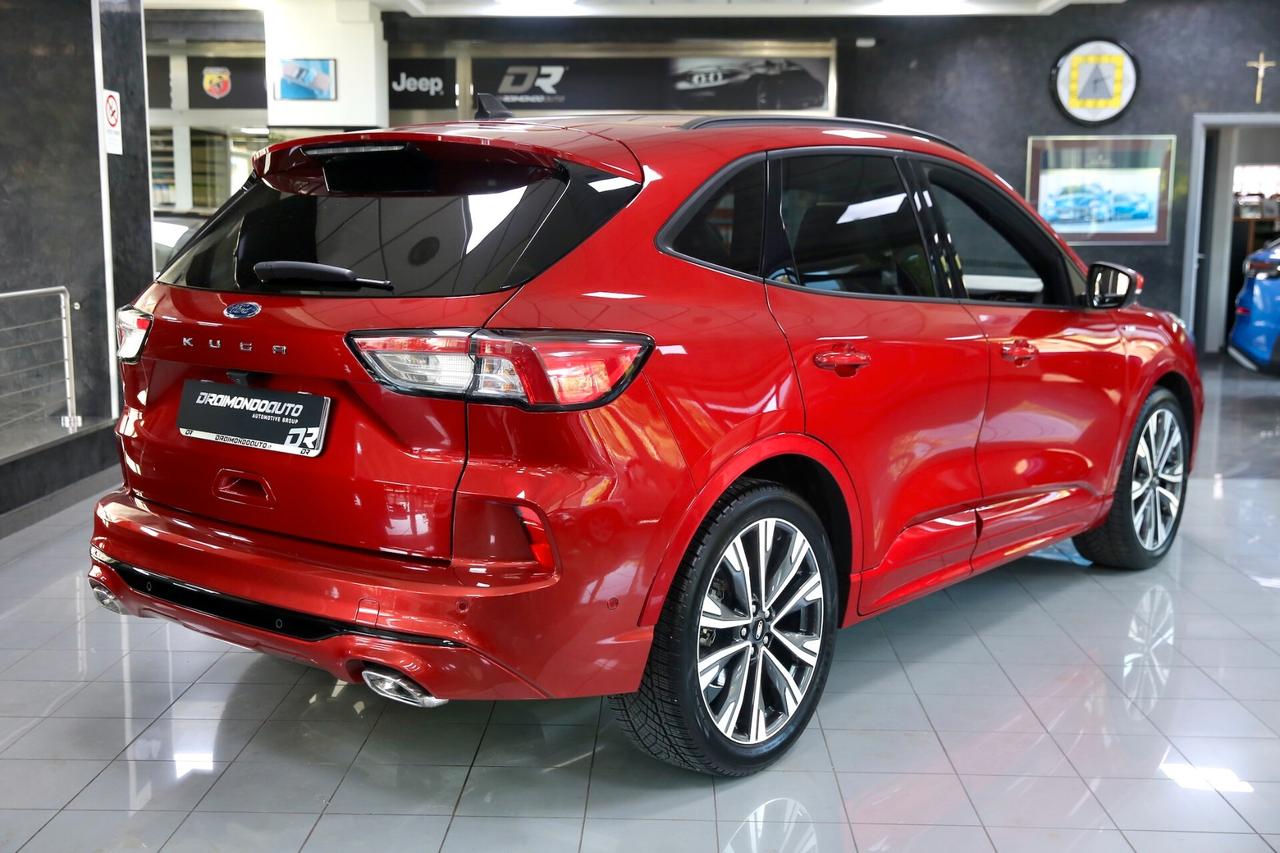 Ford Kuga 1.5 EcoBlue 120 cv ST-Line X auto
