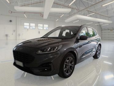 FORD KUGA 1.5 ECOBLUE 120 CV 2WD ST-LINE AUTO SUV
