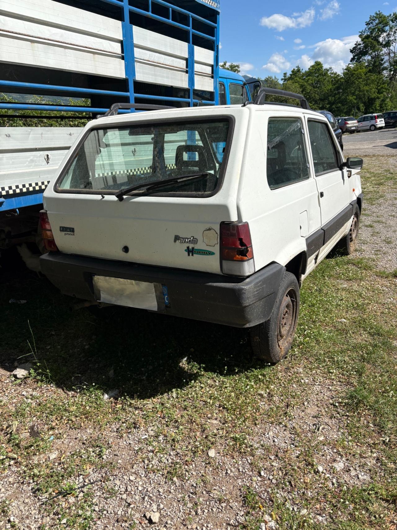 Fiat Panda 1100 i.e. cat College