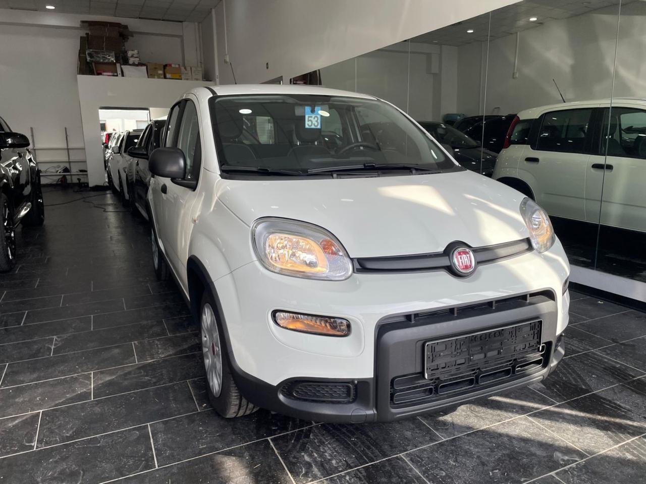 Fiat Panda 1.0 Hybrid 70cv Firefly Manuale C.14" Neopatentati