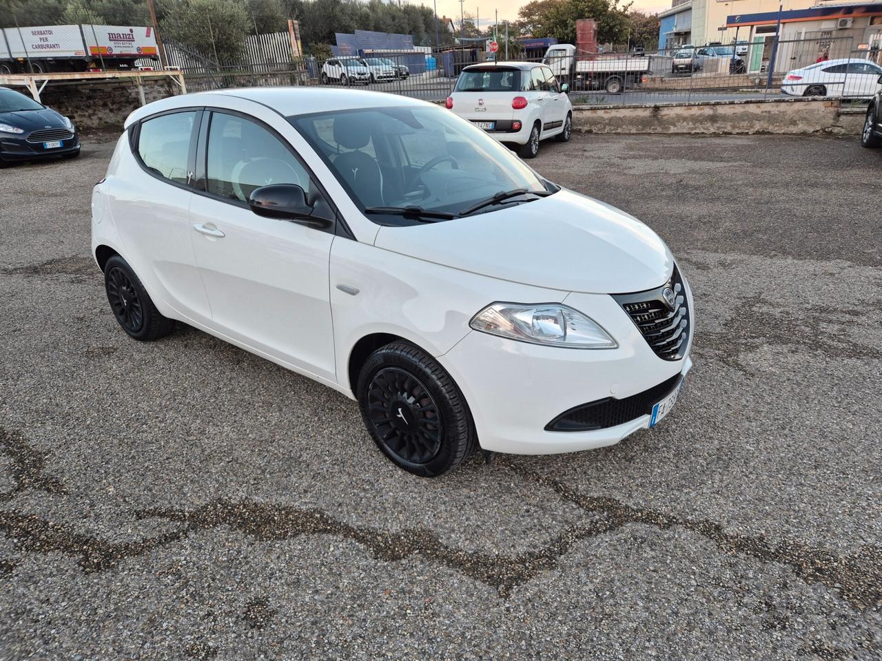 Lancia Ypsilon 1.2 69 CV 5 porte Elefantino