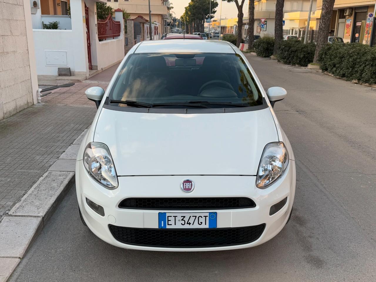 Fiat Punto 1.2 69V 5P Street NEOPATENTATI - 2014