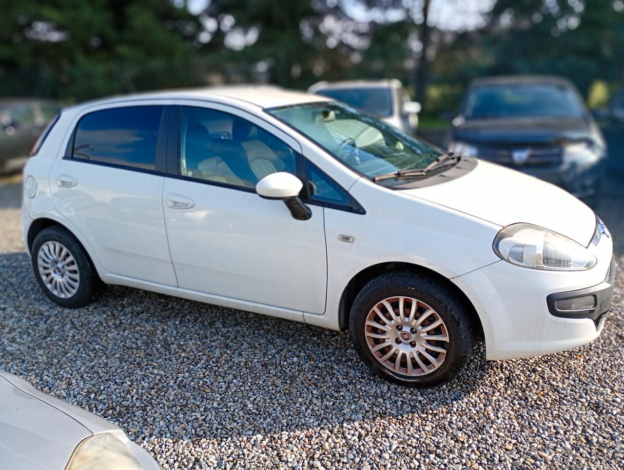 Fiat Punto Evo 1.3 Mjt 75 CV DPF 5 porte S&S Dynamic