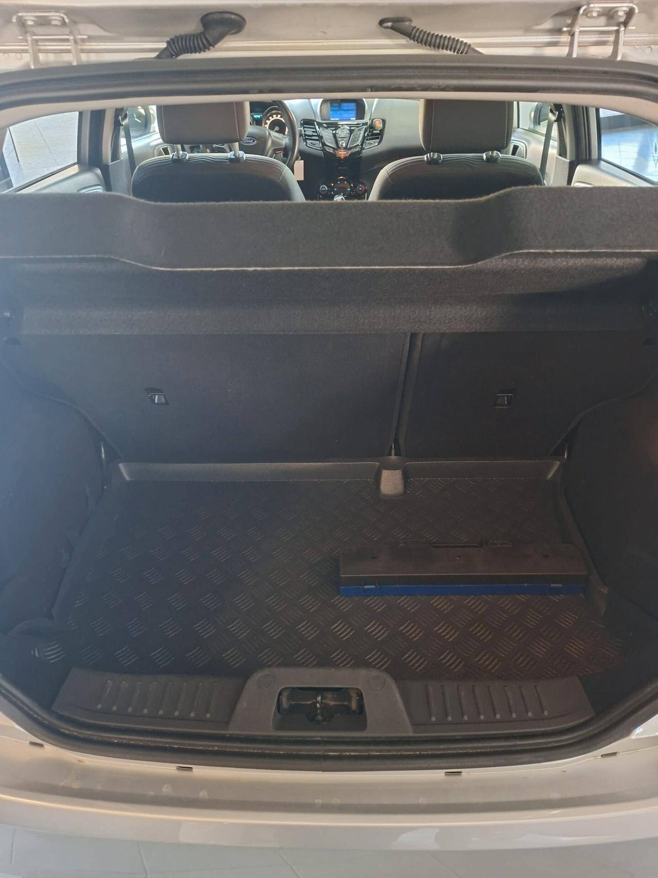 Ford Fiesta 1.5 TDCi 75CV 5 porte Titanium