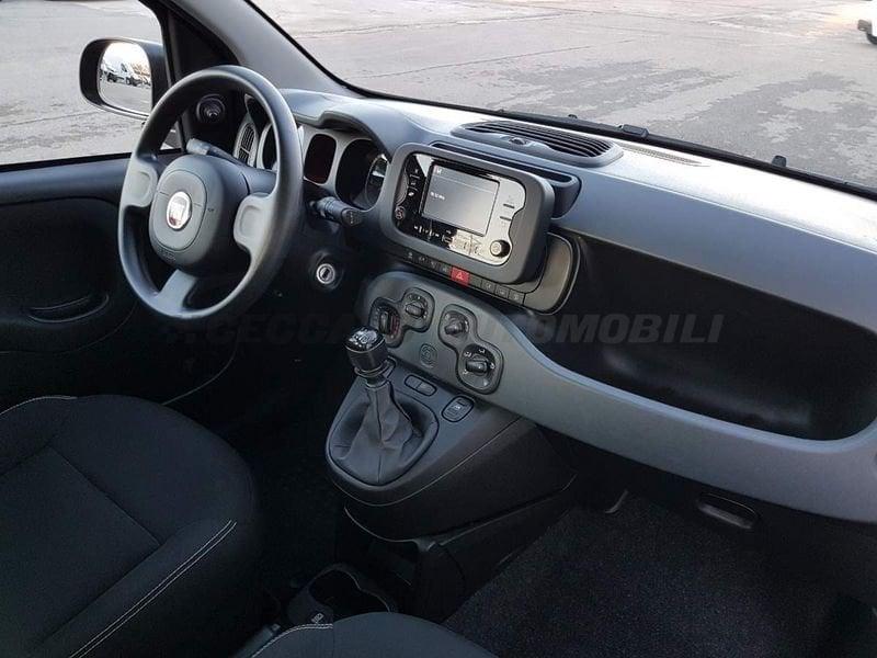 FIAT Panda Panda 1.0 firefly hybrid s&s 70cv