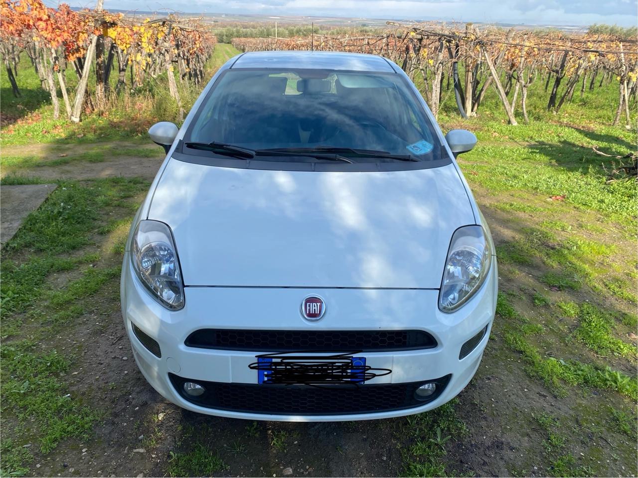 Fiat Punto 1.3 MJT II 75 CV 5 porte Pop