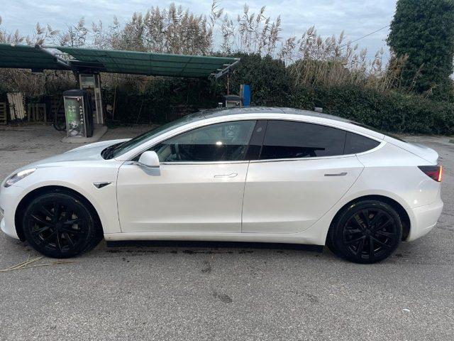 TESLA Model 3 Standard RWD Plus