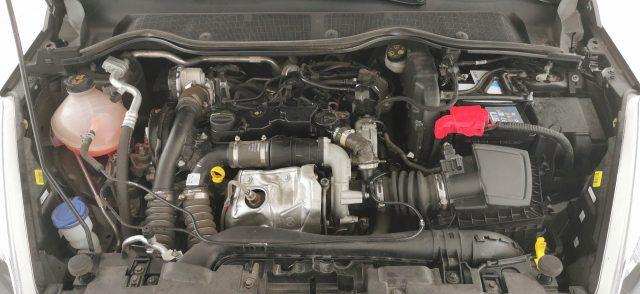 FORD Fiesta 1.5 EcoBlue 5 porte Connect