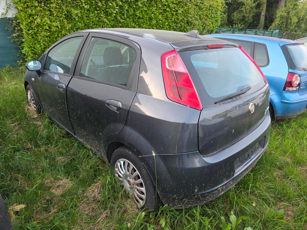 Fiat Punto Evo 1.3 Mjt 75 CV 5 porte Active