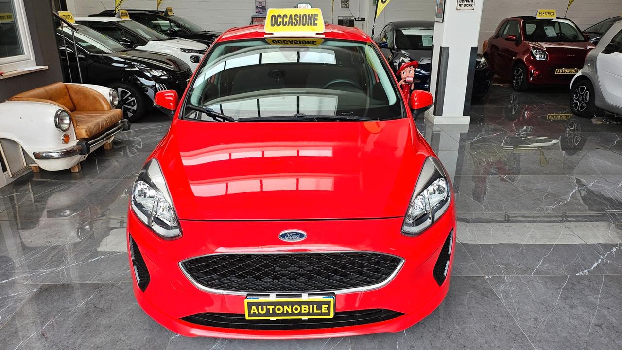 Ford Fiesta 1.1 5 porte Plus