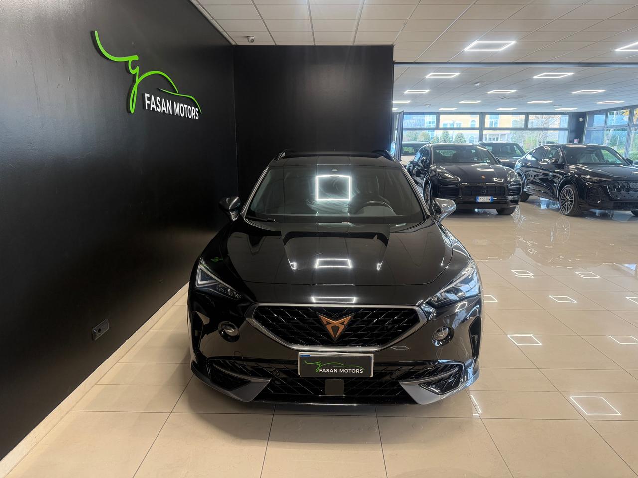 Cupra Formentor 2.0 tdi 4drive 150cv dsg