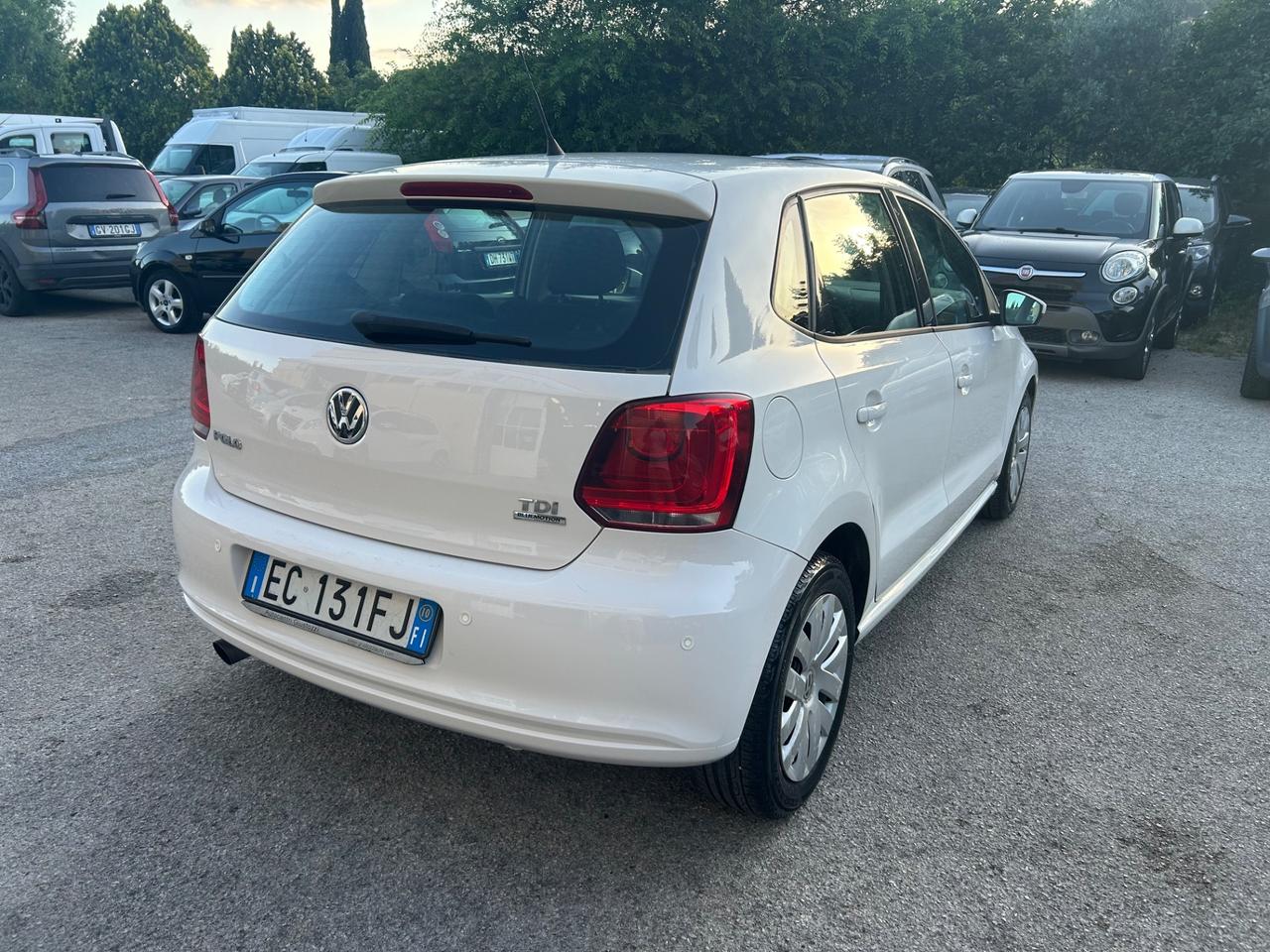 Volkswagen Polo 1.6 TDI 90CV DPF 5 porte Highline