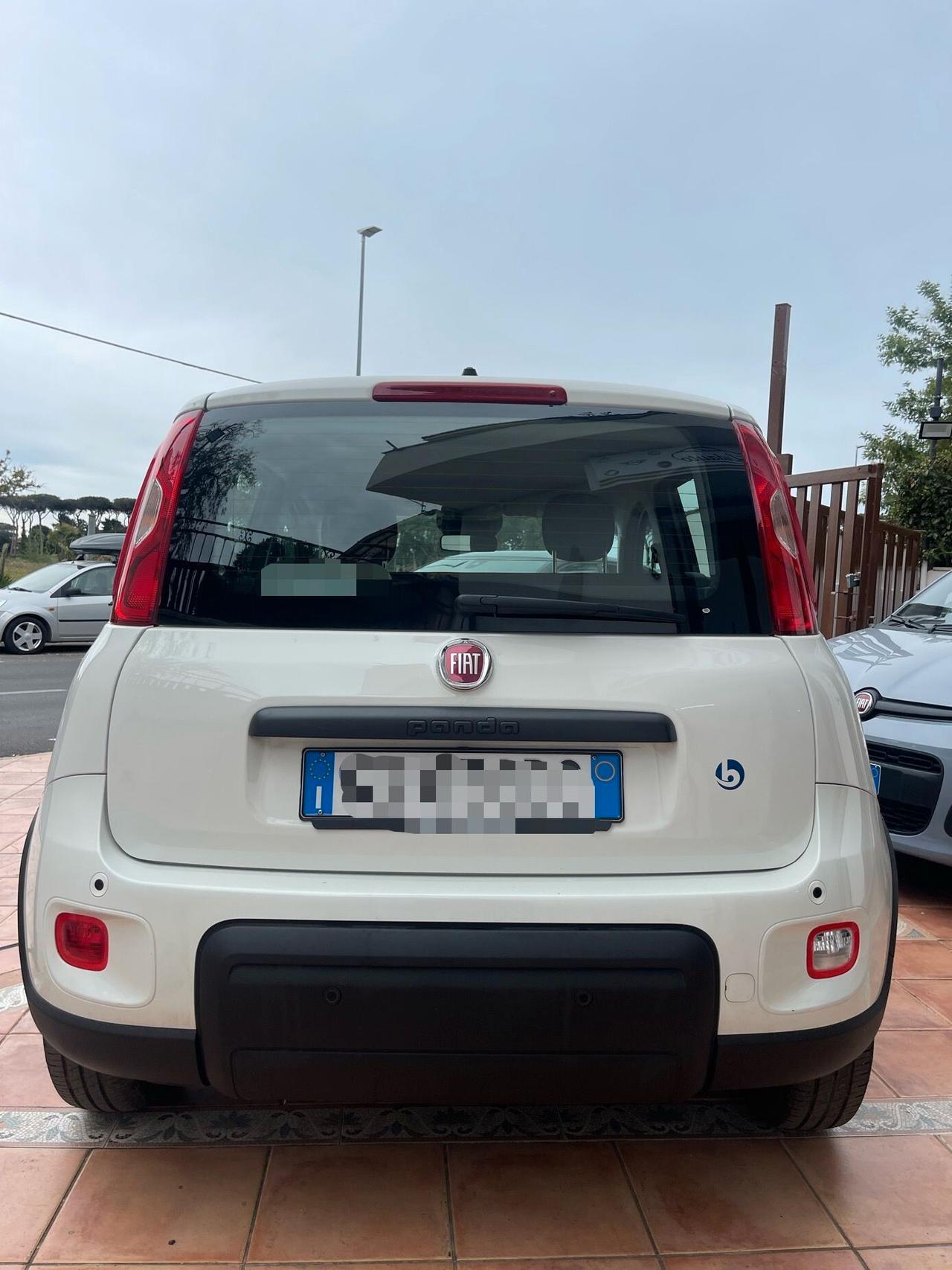 Fiat Panda 1.0 FireFly S&S Hybrid Pandina