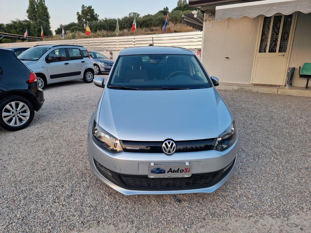 Volkswagen Polo 1.2 TDI DPF 5 p. BlueMotion 75 cv