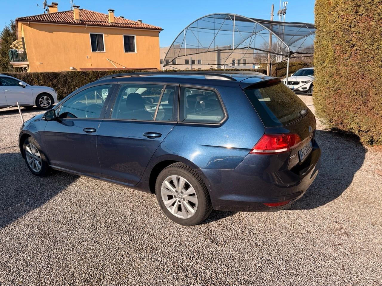 Volkswagen Golf Variant 1.6 tdi Business 110cv