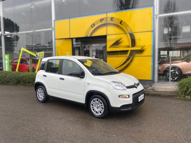 FIAT Panda 1.0 FireFly S&S Hybrid Pandina