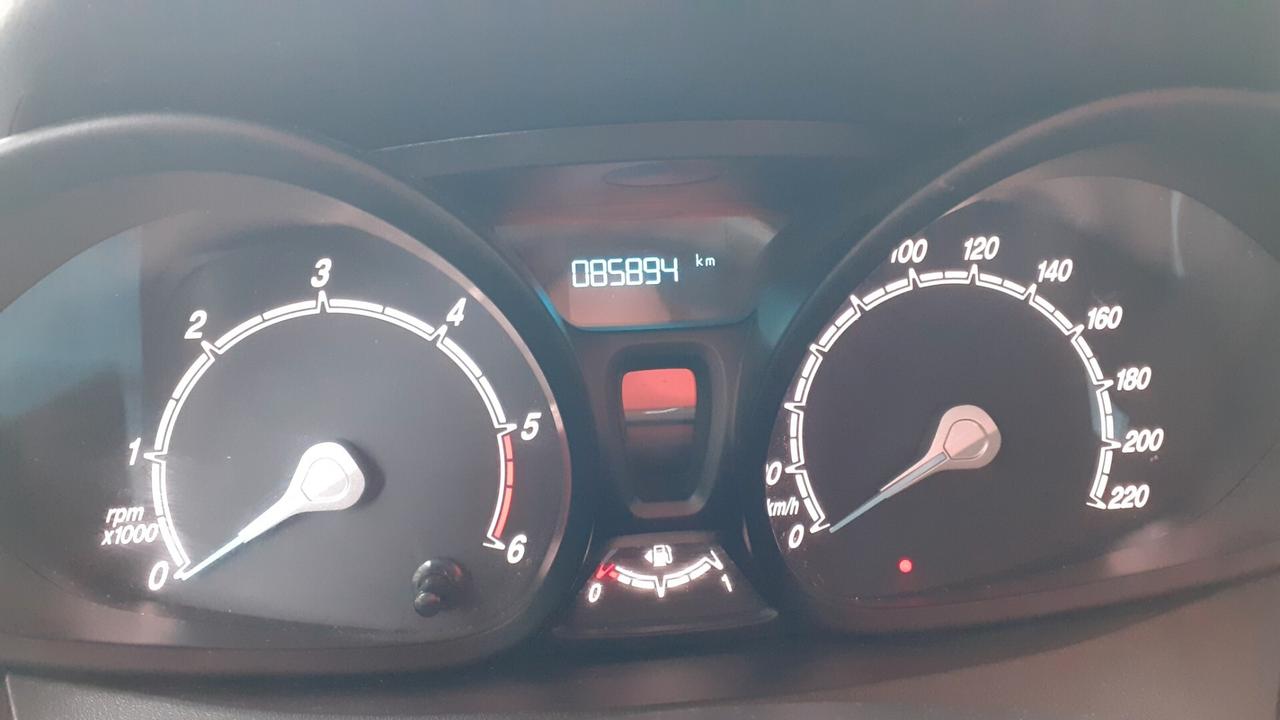 Ford Transit Courier allestito Cover HACCP Pronto Lavoro