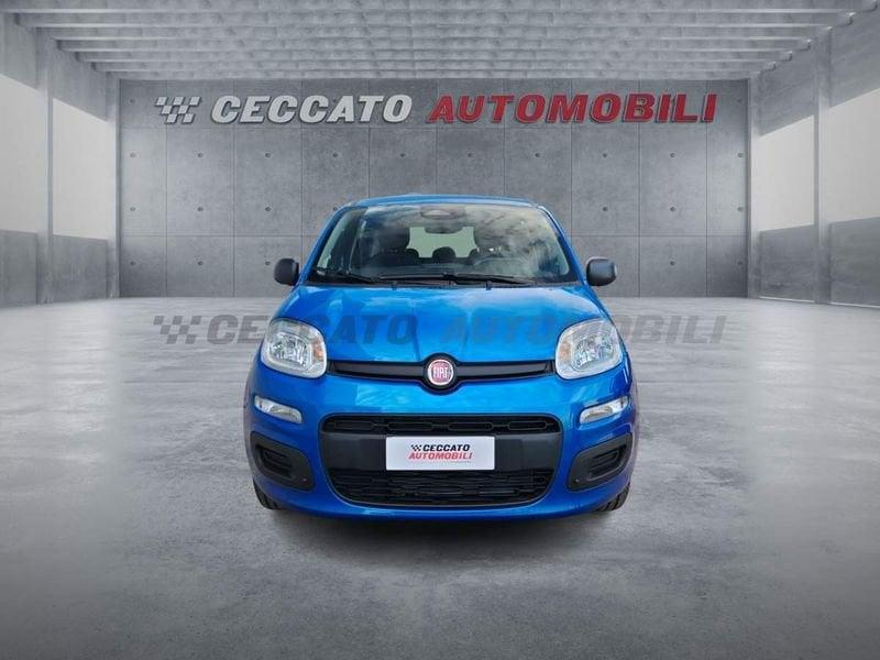 FIAT Panda Panda 1.0 70cv Hybrid Icon