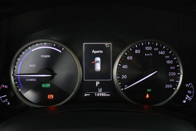 LEXUS Other NX NX Hybrid 4WD Executive