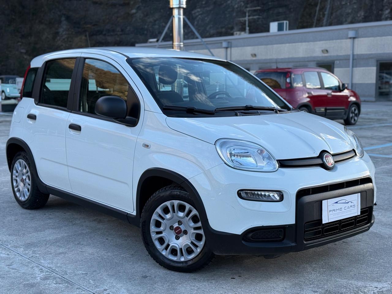 FIAT PANDA 1.0 BENZINA/IBRIDA 70CV PERFETTA