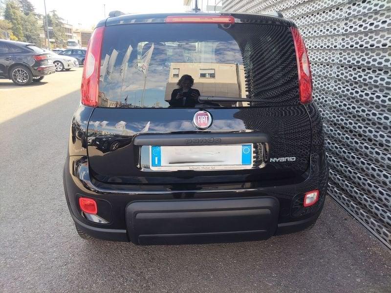 FIAT Panda Panda 1.0 firefly hybrid s&s 70cv