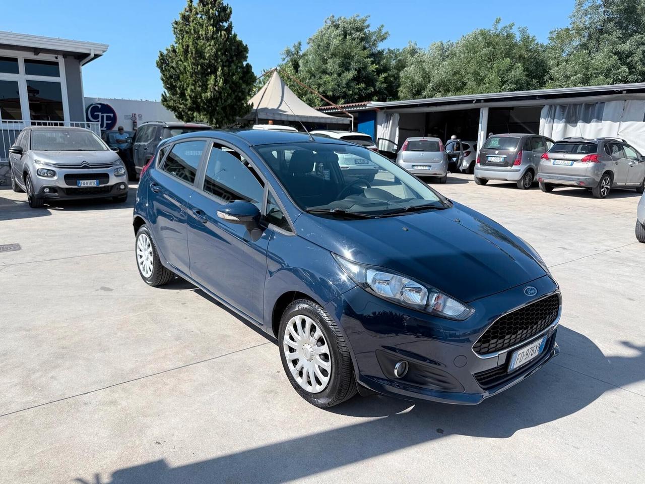 Ford Fiesta 1.4 5 porte Bz.- GPL Black & White Edition