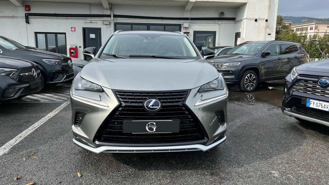 LEXUS NX 300h 2.5 Premium 4wd cvt