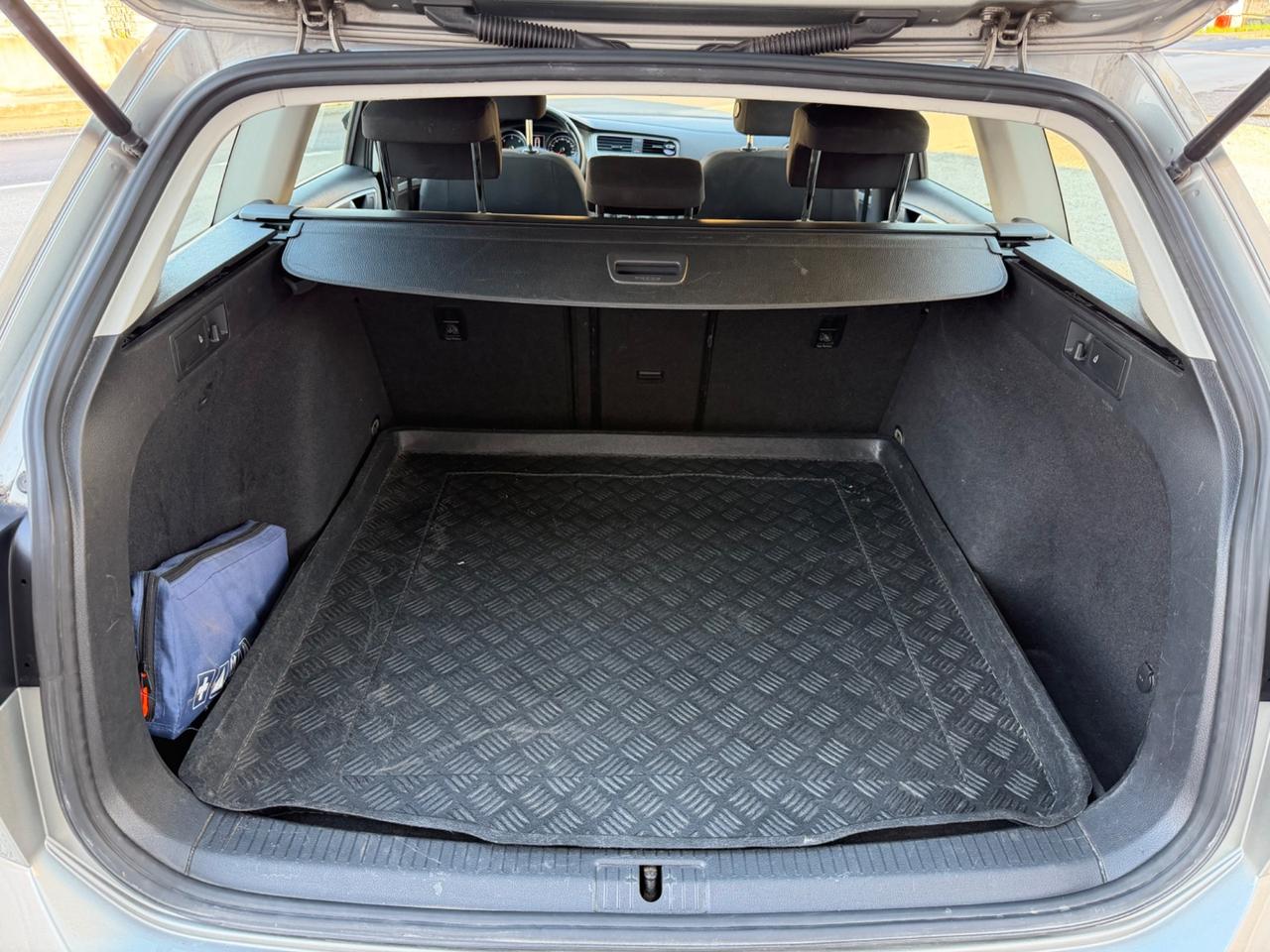 Volkswagen Golf Variant 1.6 TDI 110 CV BlueMotion Tech.