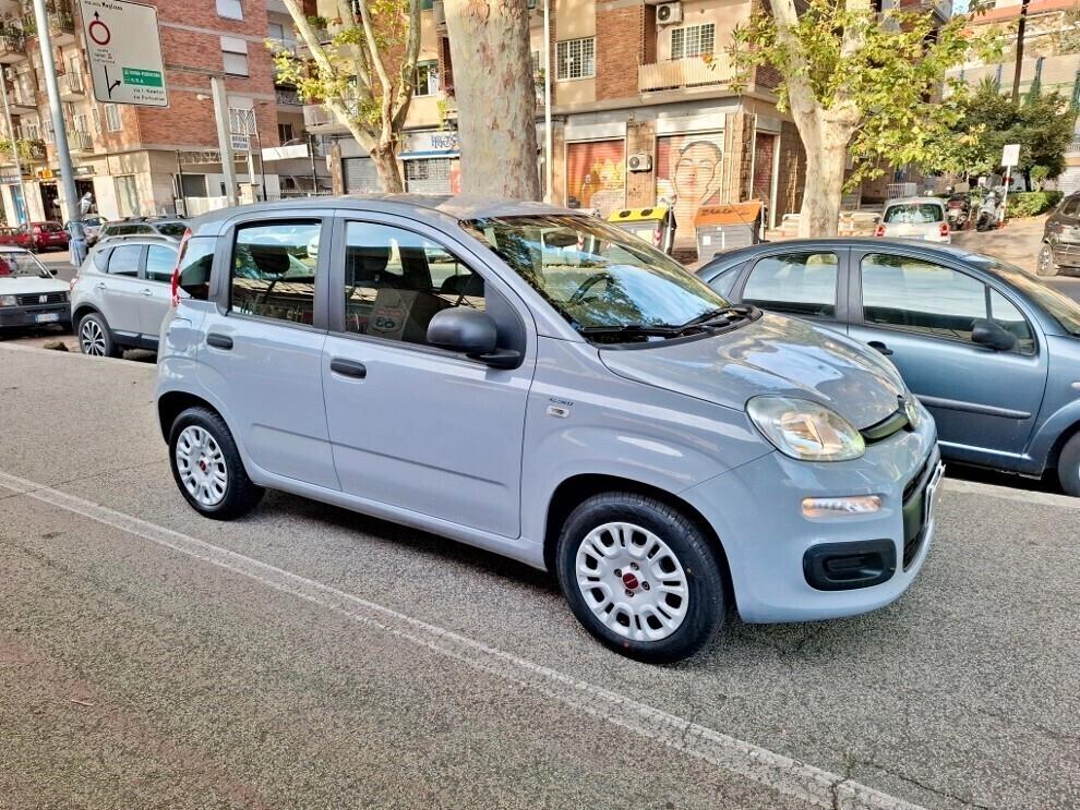 Fiat Panda 1.2 PREZZO VERO UNIPRO' DISTRIBUZIONE NEW