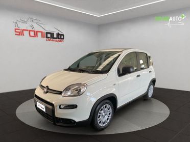 FIAT Pandina 1.0 firefly hybrid Icon s&s 70cv 5p.ti - PROMO SIRONIAUTO+