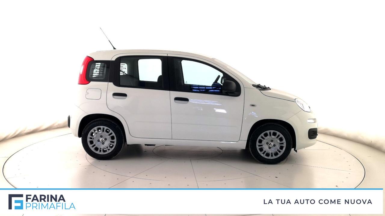 FIAT Pandina III 2024 - Pandina 1.0 firefly hybrid Pop s&s 65cv