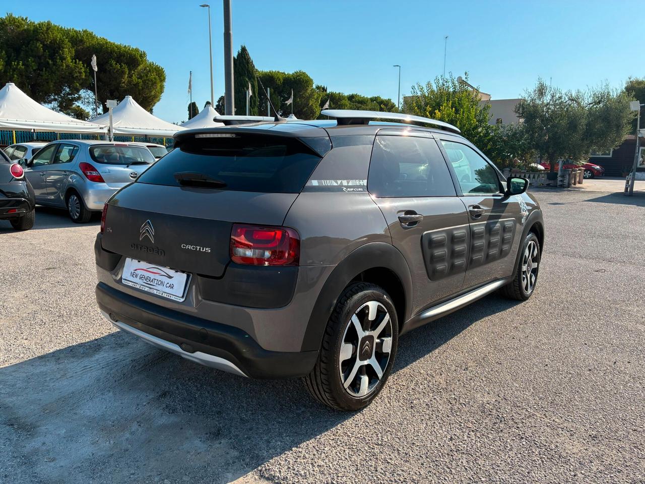Citroen C4 Cactus BlueHDi 100 Rip Curl