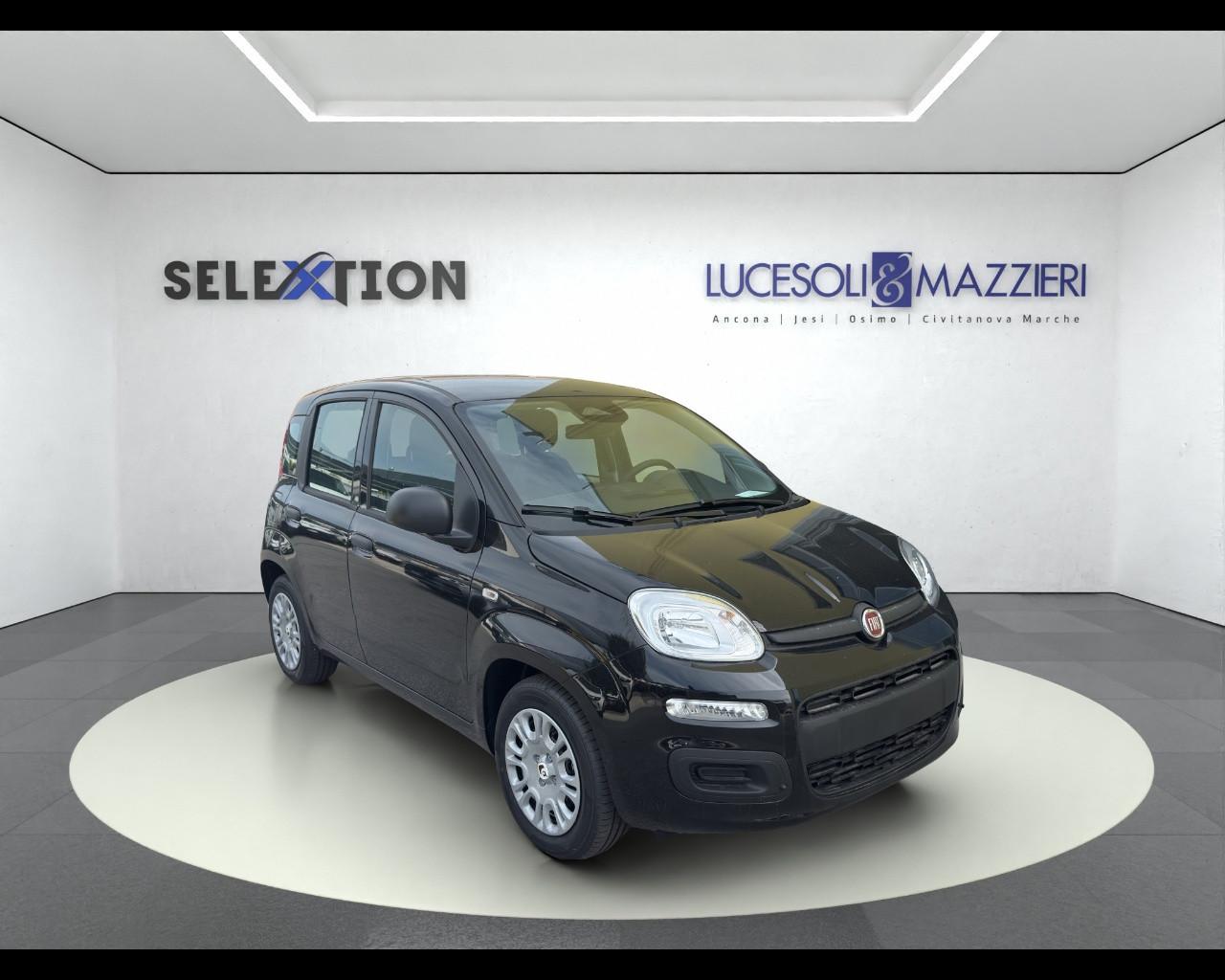 FIAT Panda 3ª serie - Panda 1.0 FireFly S&S Hybrid