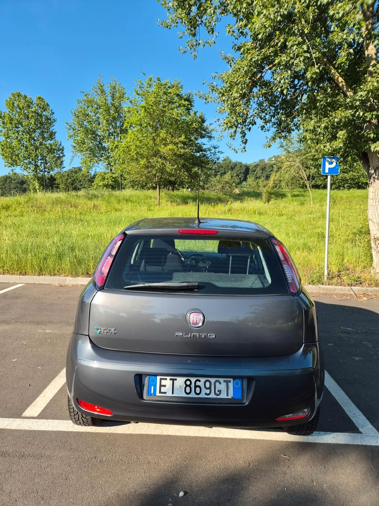 Fiat Punto 1.4 8V 5 porte Natural Power Street