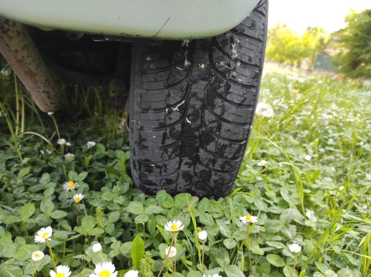 Fiat Panda 1.2 Dynamic Natural Power UNICO PROP