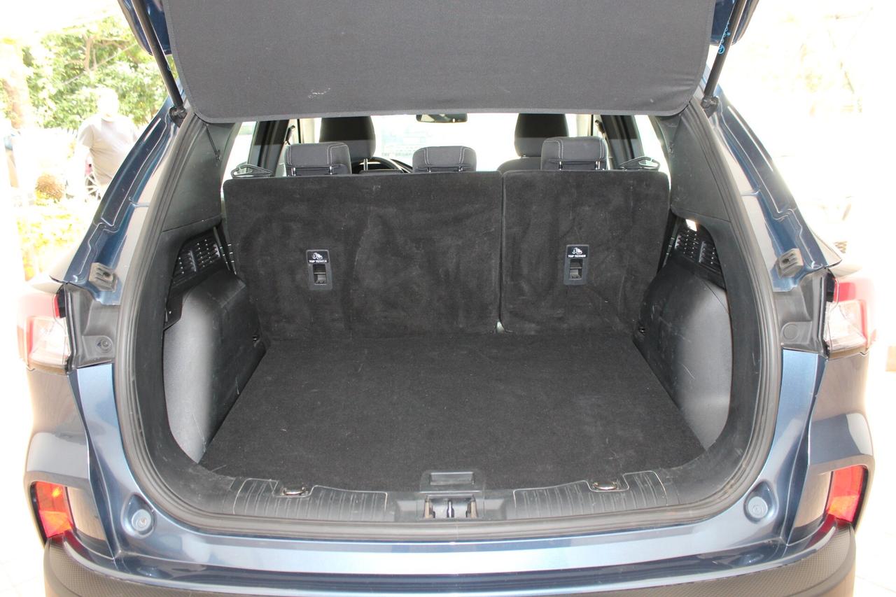 Ford Kuga 2.0 EcoBlue Hybrid 150 CV 2WD Titanium Business