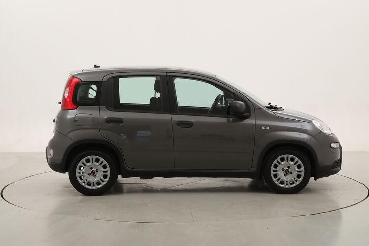 Fiat Panda Hybrid BR602586 1.0 Mild Hybrid 70CV