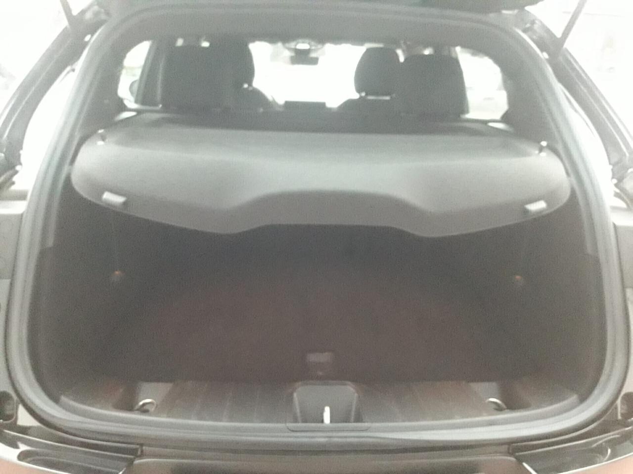 Alfa Romeo Tonale 1.6 diesel 130 CV TCT6 Ti