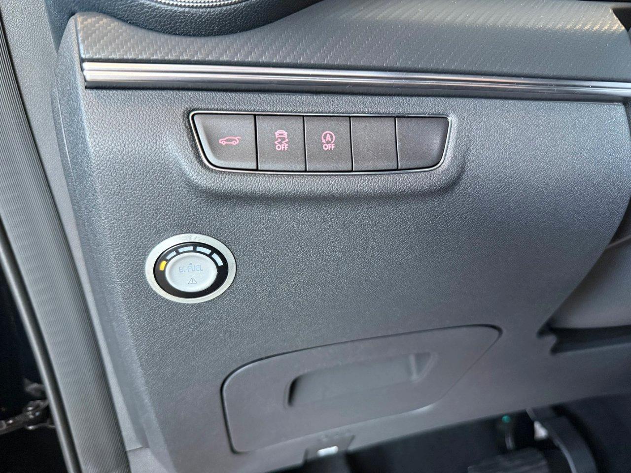 Evo Evo Spazio 1.5 turbo Gpl 167cv dct